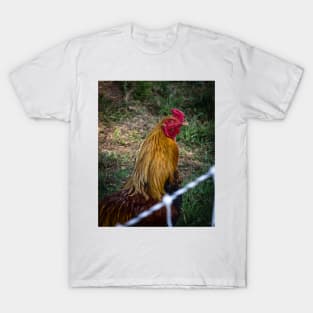 Mr  Rooster T-Shirt